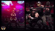 GIF by Lucha Libre AAA