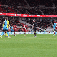 London Football GIF by MillwallFC