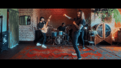 The Home Team Cat GIF by Thriller Records