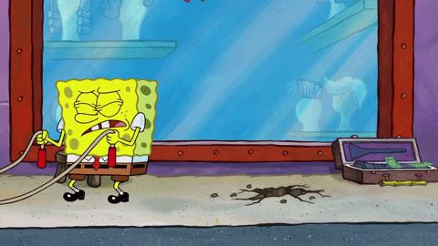 season 9 episode 13 GIF by SpongeBob SquarePants