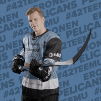 Ice Hockey Win GIF by Pelicans Lahti