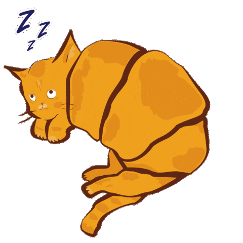 Cat Adore Sticker by Carol Bassi