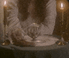 Oh No Vibes GIF by goodfortunesonly