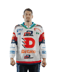 Hockey Czech Sticker by HC Dynamo Pardubice