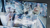 Cattura Visualpoetry GIF by CATTURAProduction