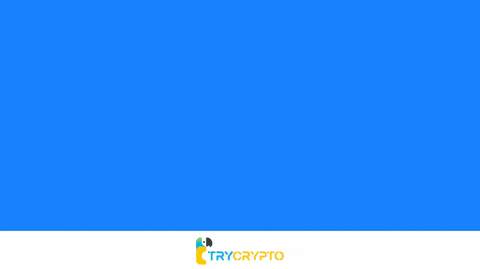 trycrypto giphyupload bitcoin blockchain web3 GIF