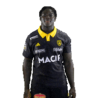 Rugby Larochelle Sticker by Stade Rochelais