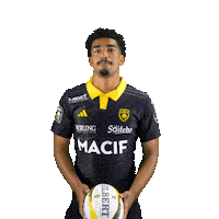 Rugby Larochelle Sticker by Stade Rochelais