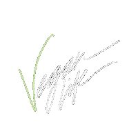 Calligraphy Vegan Life Sticker