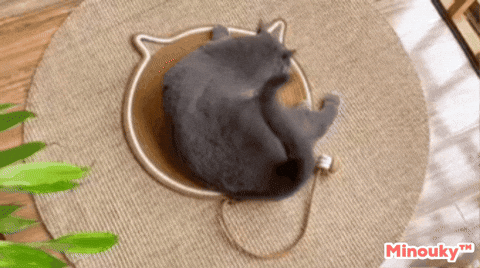 minouky giphygifmaker GIF