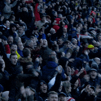 Sheffield United Win GIF by Sheffield United Football Club