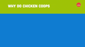 Chicken Coups