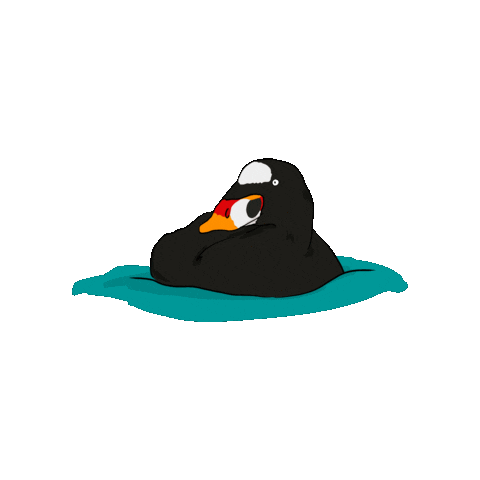 Surfscoter Sticker by RAVENTrust