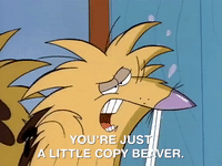 nickrewind nicksplat angry beavers GIF