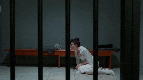 Ela Leyla GIF by Ay Yapım