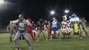 StPaulSaints dance dancing baseball nerd GIF