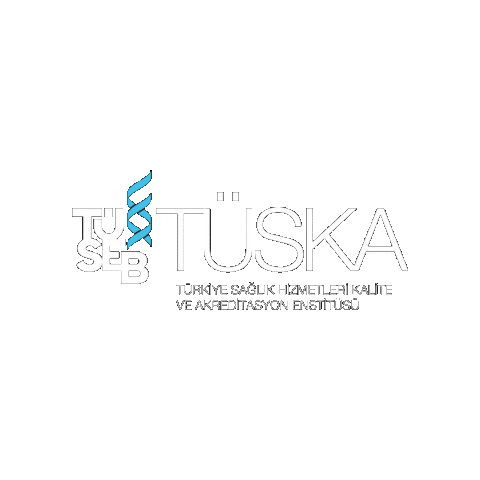 tusebgovtr giphygifmaker tuska tüska Sticker