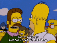 homer simpson episode 23 GIF