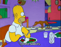 homer simpson episode 3 GIF