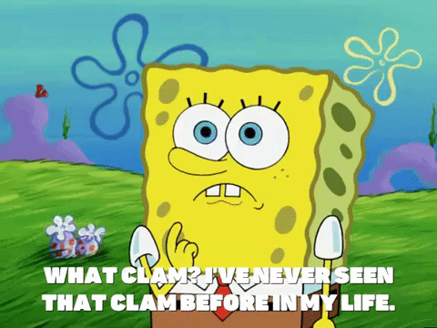 season 6 porous pockets GIF by SpongeBob SquarePants