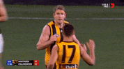 Aussie Rules Reaction GIF by AFL