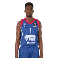 Happy Number One Sticker by Anadolu Efes SK