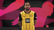 Borussia Dortmund GIF by Bundesliga