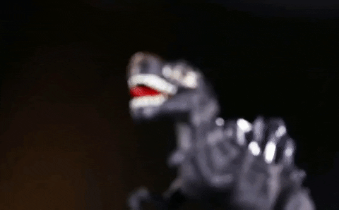Zincera  GIF