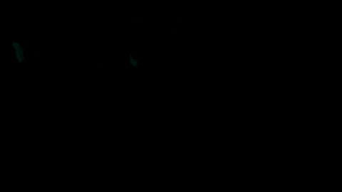 Destiny 2 Sword GIF by DestinyTheGame