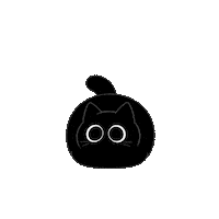 Cat Lol Sticker by PRISM Live Studio