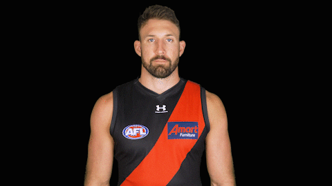 Essendon Bombers Afl GIF by Essendon FC