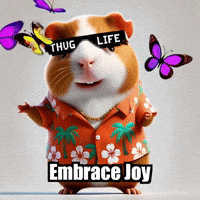 Joy Wisdom GIF by Guinea Gambino