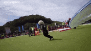Paraglider Icare GIF by euronews