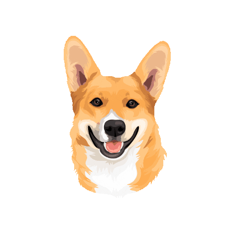 Dog Corgi Sticker by Pickle's Pawtraits