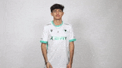 Italian What GIF by Reply Totem