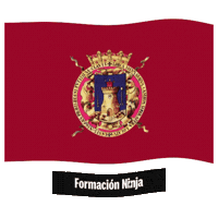 Flag Spain Sticker by Formación Ninja