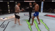 curtis blaydes ufc GIF