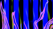 Video Art GIF by cskonopka