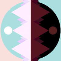 GIF by Borrachas