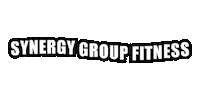 Synergyfitness synergy synergy group fitness synergyfitness synergygroupfitness Sticker