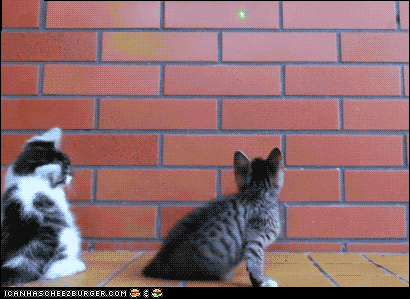 [Image: giphy.gif]