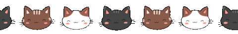 enashdesign giphyupload cat star thank you Sticker