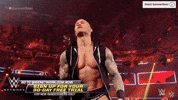 wwe sports wwe wrestling pose GIF