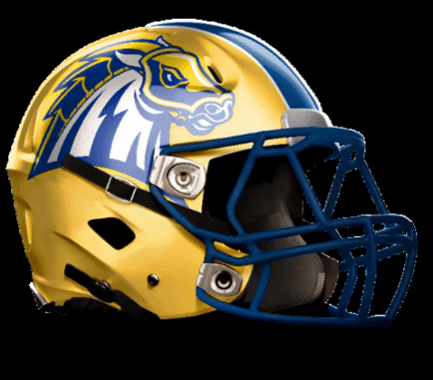 UNHChargers giphygifmaker football chargers unh GIF
