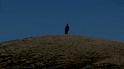 Run Running GIF by Sam Gendel