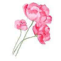 Flowers Spring Sticker