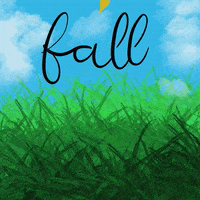 bbunni1404 fall leaf sky grass season lawn weather GIF