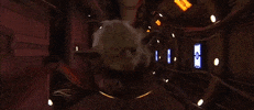 revenge of the sith episode 3 GIF by Star Wars