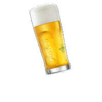 Koninklijke_Grolsch party beer cheers bier Sticker