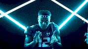 Old Dominion Sport GIF by ODU Football